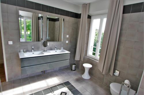 a bathroom with a sink and a toilet at Manoir de Montigny in Russy-Bémont