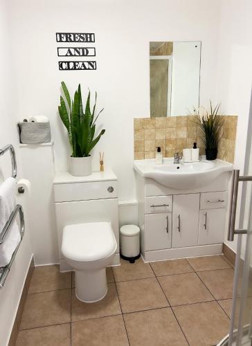 a bathroom with a toilet and a sink at London Stylish 1 Bedroom Apartment in London