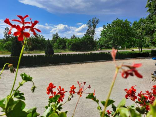 Un jardín fuera de Seenlandoase Reppist