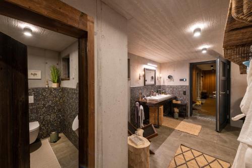a bathroom with a toilet and a sink at Chalet Alte Schmiede in Göstling an der Ybbs