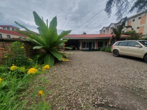 un'auto parcheggiata di fronte a una casa di S.A.W.A (Studio of African wildlife Arts) 