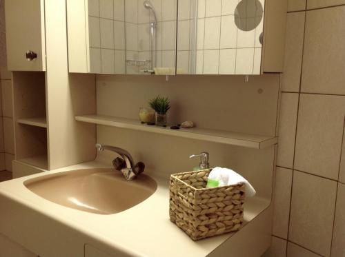 a bathroom sink with a basket next to it at Appartement Arve in Saas-Almagell