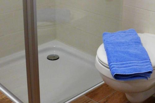 a bathroom with a toilet and a shower with a blue towel at Haus-Auetal in Bliedersdorf