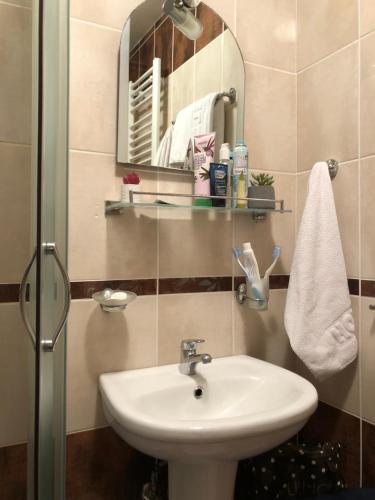 een badkamer met een wastafel en een spiegel bij Danijela & konak in Zlatibor
