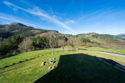 a group of sheep grazing on a grass field at Soloandie Casa rural in Zeanuri