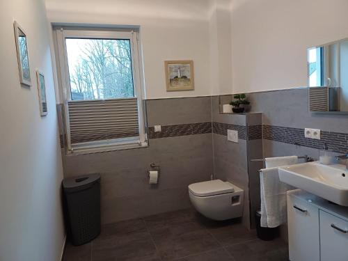 a bathroom with a toilet and a sink and a window at Haus Sonnenwinkel in Walsrode
