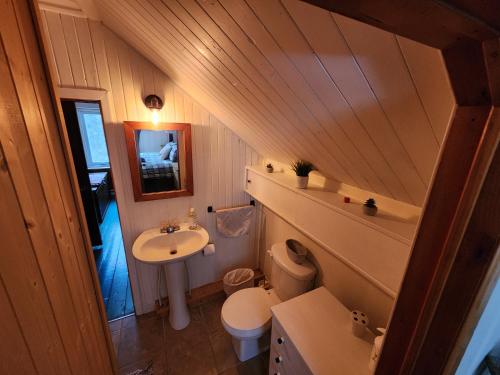 La petite salle de bains est pourvue d'un lavabo et de toilettes. dans l'établissement La Sacacomie Unique, Petit déjeuner bio, Grand terrain, table de Pool, à Saint-Alexis-des-Monts