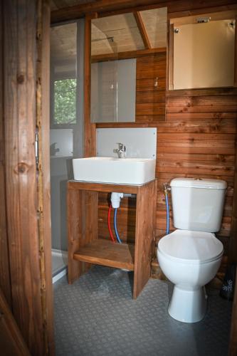 une salle de bain avec un lavabo et des toilettes dans l'établissement Camping le Colorado, à Rustrel