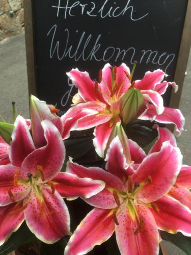 a group of pink flowers in front of a sign at Landgasthof & Hotel Waldeck in Treuen