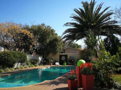 a swimming pool with a palm tree next to a house at Chic Breeze in Bloemfontein