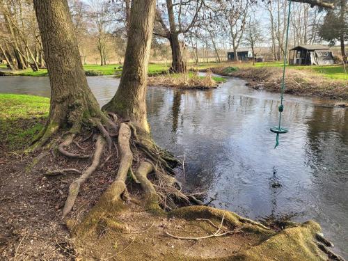a tree with its roots in a river with a swing at Rustic Retreat in Retford in Retford