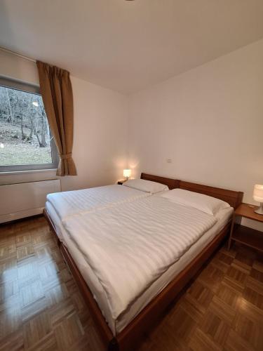 ノヴァ・ゴリツァにあるGuest Accommodation Primulaの窓付きのベッドルームの大型ベッド1台
