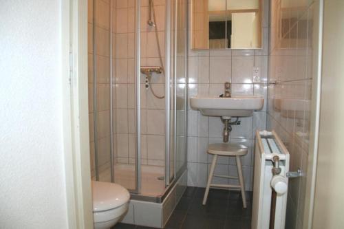 een badkamer met een douche, een wastafel en een toilet bij Schorrebloem 20* in Nieuwvliet