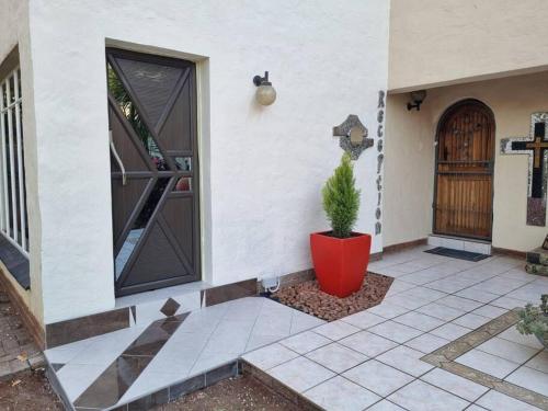 a plant in a red pot next to a door at Chic Breeze in Bloemfontein