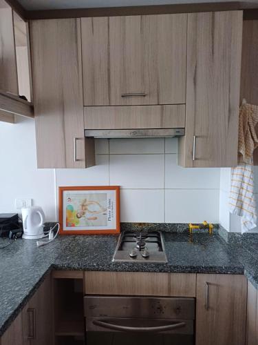 a kitchen with wooden cabinets and a picture on the counter at Depto 1 ambiente central in Antofagasta