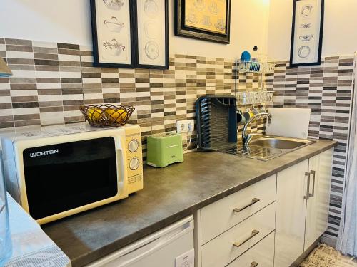 a kitchen counter with a microwave and a sink at Casinhas da Calçada de Santiago - pet friendly, garage and with stairs in Tomar
