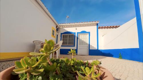 佩拉的住宿－A Casa dos Avós，蓝白房子,有盆栽植物