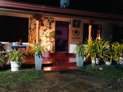 a house with potted plants in front of it at Bole Guest Bentota in Bentota