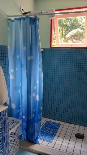 Ένα μπάνιο στο Lar do tio Roco em paraty