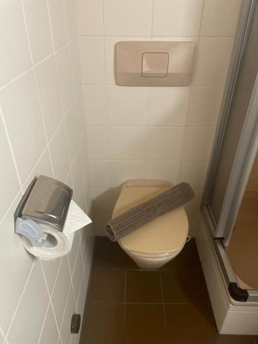 a small bathroom with a toilet with a roll of toilet paper at Haus Karin Mallnitz in Mallnitz
