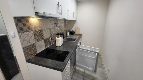 a small kitchen with a sink and a refrigerator at Aparthotel Riva in Zawiercie