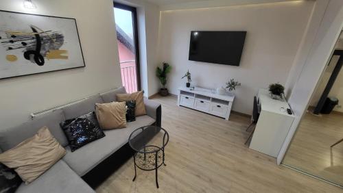 a living room with a couch and a flat screen tv at Aparthotel Riva in Zawiercie