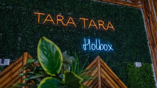 Gallery image of TARA TARA Hotel in Holbox Island
