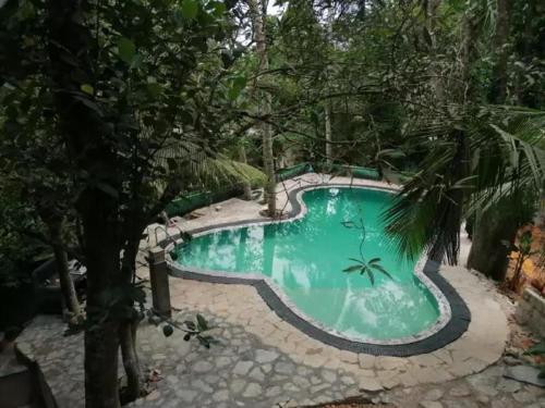 a swimming pool in the middle of a forest at Shadow lake villa in Habaraduwa
