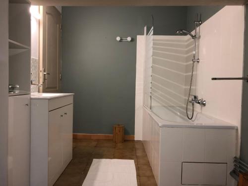 une salle de bain avec douche et lavabo dans l'établissement Maison de village avec jardinet, à Bruguières