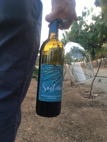 Bebidas en Santerra, Valle de Guadalupe