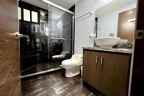 een badkamer met een wastafel, een toilet en een douche bij Departamento a 5 minutos de Anáhuac in Mexico-Stad