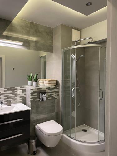 W łazience znajduje się prysznic, toaleta i umywalka. w obiekcie Wenecjanska Comfort Apartment, free parking, self check-in 24h w Poznaniu