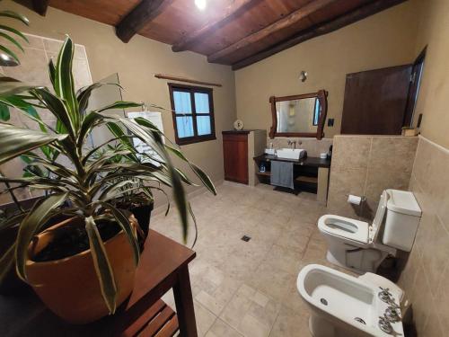 une salle de bains avec deux toilettes et une plante en pot dans l'établissement Casas de Campo El Rincón, à San Antonio