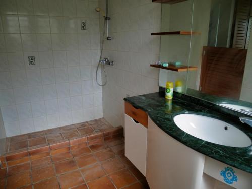 ein Bad mit einem Waschbecken und einer Dusche in der Unterkunft Appartement Emeraude et studio Azur in Gourbeyre