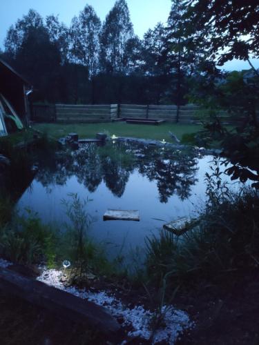 a pond in the middle of a yard at Alfapartmány in Krásná Lípa