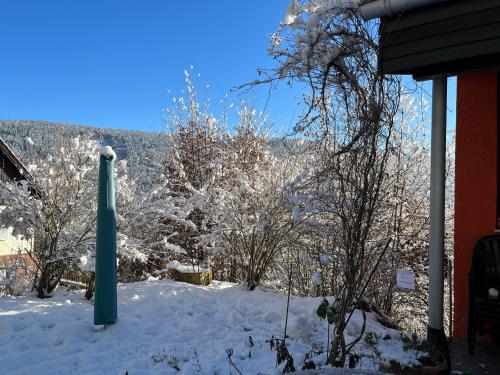 un patio cubierto de nieve con árboles y una casa en Waldhaus Max, en Bad Wildbad
