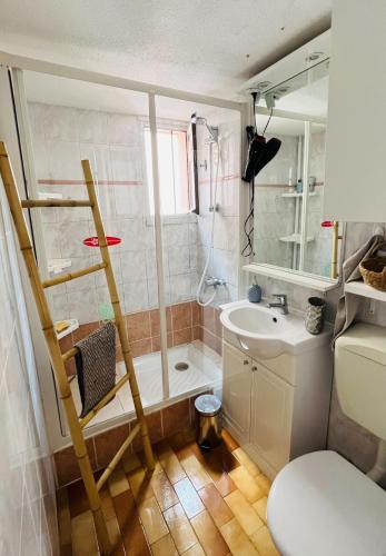 une salle de bain avec une douche, des toilettes et un lavabo dans l'établissement Appartement proche village natu, au Cap d'Agde