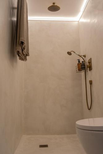 a bathroom with a shower and a toilet at KisVulkán Nyúlontúl in Mencshely