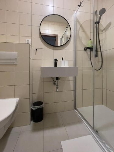 a bathroom with a shower and a sink and a mirror at Penzion Mája in Josefuv dul