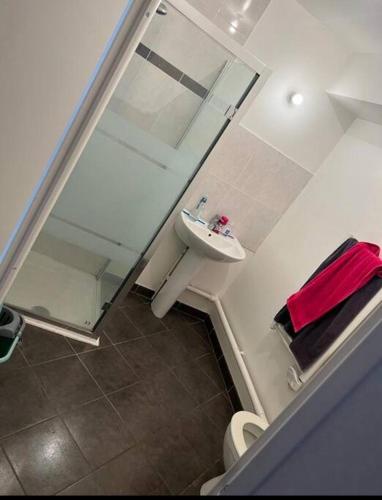 uma casa de banho com um lavatório, um espelho e um WC. em Duplex avec vue sur la Tour Eiffel em Nanterre