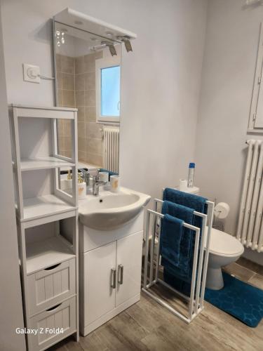 y baño con lavabo, espejo y aseo. en Le Mazet, en Saint-Ambroix