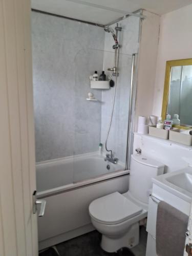 a bathroom with a toilet and a shower and a sink at 4 mereside walk in Manchester