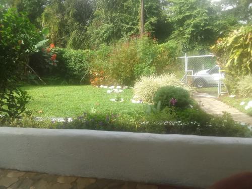 uma vista para um jardim a partir de uma janela em Habitacion 2 Personas B&B em Nuevo Arenal