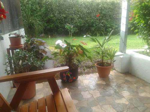 a patio with potted plants and a bench at Habitacion 2 Personas B&B in Nuevo Arenal