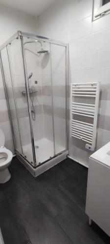 une salle de bain avec douche et toilettes dans l'établissement Chambre#2 zen / logement partagé, à Villeneuve-Saint-Georges