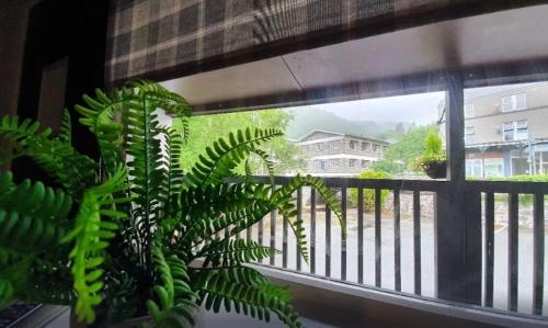 a view of a balcony with a plant in front of a window at Fairy Falls Hotel in Trefriw