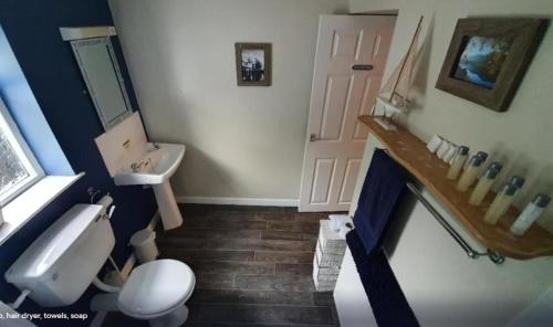 a bathroom with a white toilet and a sink at Fairy Falls Hotel in Trefriw