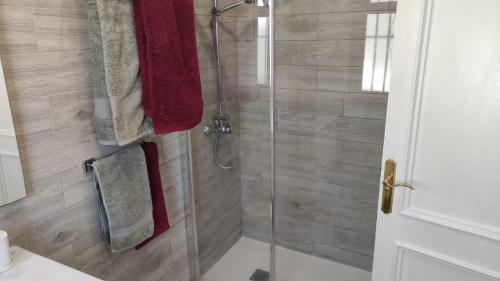 bagno con doccia e porta in vetro di Appartamento Corallo a Costa Del Silencio