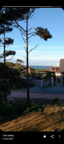 een boom in het midden van een veld bij Posada Mar Azul con Jacuzzi in Punta Del Diablo