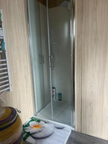 une douche avec une porte vitrée dans une salle de bain dans l'établissement Studio greenkub St clément de rivière 5 mn Montpellier, à Saint-Clément-de-Rivière